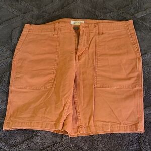 Goodthreads Men's Flat Front Shorts in Rust